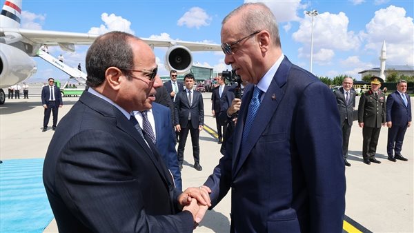 الرئيسين السيسي وأردوغان
