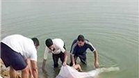 تفاصيل العثور على جثة فتاة مجهولة في ترعة بالدقهلية