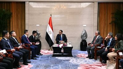 مدبولي: لدينا استعداد لدعم 