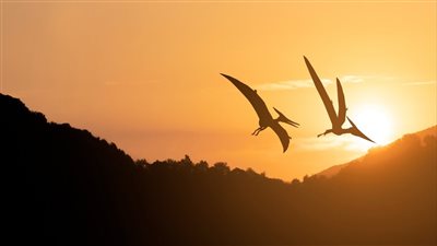 هل كانت الديناصورات تطير بأجنحة طويلة؟