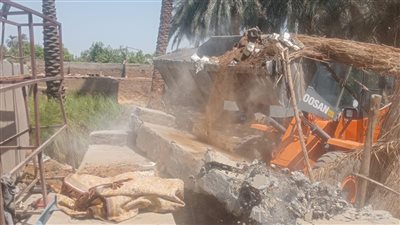 تنفيذ 11 حالة إزالة تعدِ على أرض زراعية جنوب الأقصر 