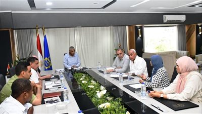 محافظ أسوان يشدد على الانتهاء من مشروعات مياه الشرب بقرية غرب سهيل