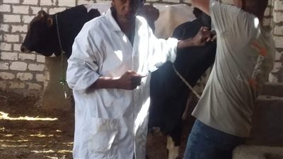 لمدة 3 أيام.. بيطرى الأقصر تنظم 50 قافلة طيبة في عيد الفلاح