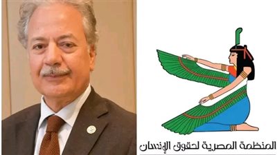 بيان هام من رئيس المنظمة المصرية بعد الإفراج عن عدد من المحبوسين