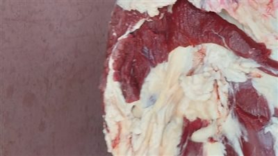 تحرير 5 محاضر وضبط لحوم لذبحها خارج السلخانة في الأقصر 