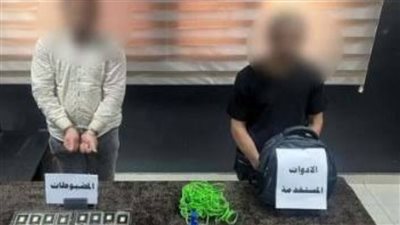 26 سبيكة ذهب|حبس المتهم بسرقة فيلا مدرب حراس المنتخب الأوليمبي