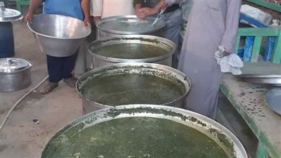 «ليلة الملوخية».. أغرب الاحتفالات بالمولد النبوي في الأقصر (صور)