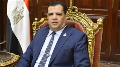 عضو بالشيوخ: الرئيس السيسي بعث برسائل هامة خلال المؤتمر الصحفي مع الرئيس الألماني