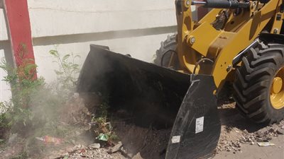 حملة نظافة مكبرة بشوارع الزينية شمال الأقصر (صور)