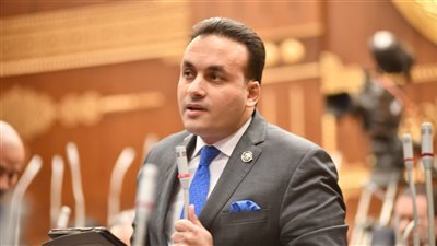 «برلماني»: زيارة الرئيس الألماني لمصر إضافة كبيرة للعلاقات المصرية الألمانية