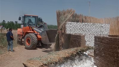 تنفيذ 9 حالات إزالة على مساحة ألف فدان أملاك دولة بالأقصر