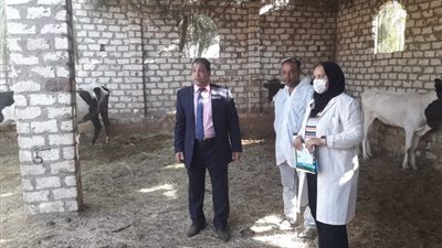 السبت.. الأقصر تعلن عن انطلاق حملة ضد مرض الطاعون (صور)