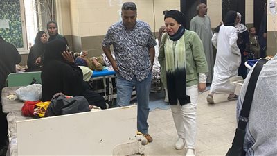 النائبة ريهام عبد النبى: 7 وفيات بالنزلات المعوية بأسوان