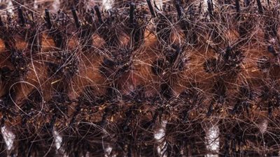 كيف تقوم بتنظيف فرشاة الشعر بشكل احترافي ؟