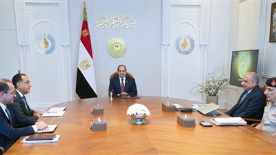 الرئيس السيسى يتابع تطور الأعمال بمشروع محطة الضبعة للطاقة النووية