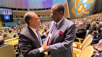 وزير الخارجية يعقد عدد من اللقاءات الجانبية على هامش قمة المستقبل