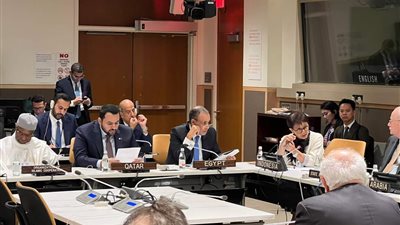 وزير الخارجية يؤكد استمرار جهود مصر في الوساطة لوقف الحرب في غزة