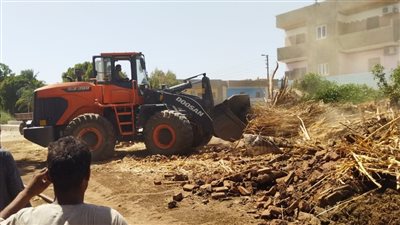 إزالة 7 حالات تعد على أراضي الرى في الأقصر (صور)