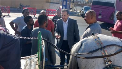 رئيس مدينة الأقصر يقود حملة لضبط عربات الحنطور المخالفة (صور)