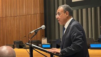 عبد العاطي: على المجتمع الدولي مسئولية كبيرة لتنفيذ ركيزة نزع السلاح النووي