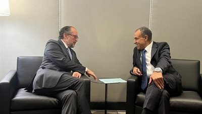 تفاصيل لقاء وزير الخارجية والهجرة مع نظيره النمساوي