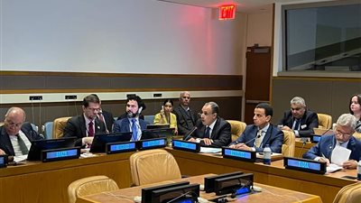 وزير الخارجية والهجرة يشارك في اجتماع وزراء خارجية تجمع البريكس