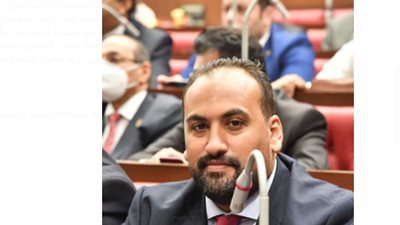 «برلماني»: الرئيس السيسي يثق في رؤية الحوار الوطني لدعم ومساندة الدولة في مواجهة الأزمات