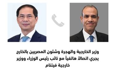 بحثا التعاون الاقتصادي بين البلدين.. عبدالعاطي يلتقي نائب رئيس وزراء فيتنام 