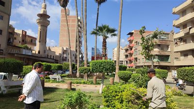 محافظ الغربية:عروس الدلتا تتجمل وحملات مكبرة لزراعة الأشجار 