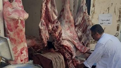 «الزراعة» تطلق 7 منافذ متنقلة لبيع منتجاتها بأسعار مخفضة للمواطنين بمحافظة القاهرة