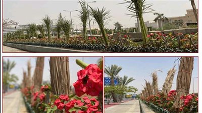 تنفيذ أعمال صيانة وتطوير بمداخل ومخارج مطار القاهرة