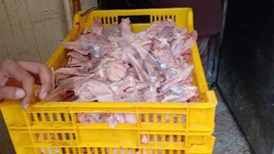  إحباط ترويج 4 أطنان هياكل دواجن غير صالحة للاستهلاك بالقليوبية 