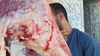 ضبط 49 كيلو لحوم مذبوحة خارج المجازر الحكومية جنوب الأقصر 