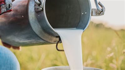 مخاطر الحليب الطبيعي.. تقرير أمريكي يكشف كوارث اللبن الغير مبستر
