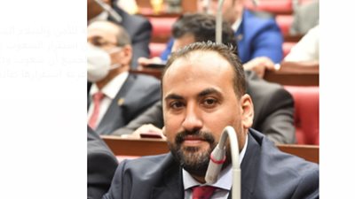 يؤكد احترام وسيادة أراضي المنطقة.. «برلماني» يتحدث عن البيان الثلاثي بين مصر وإريتريا والصومال