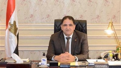 «برلماني» عن افتتاح الرئيس محطة قطارات صعيد مصر: تسهم في إحياء المناطق النائية