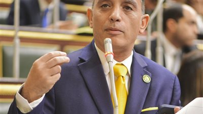 أول تحرك برلمانى يطالب بمحاسبة رئيس الحكومة: متى يقف نزيف الدم على القضبان؟