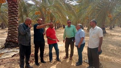 «الزراعة»: نعمل على ضبط منظومة الأسمدة والاستعداد للموسم الشتوي