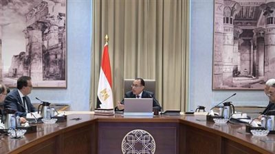 برئاسة مدبولي.. اجتماع وزاري بشأن أزمة نقص الدواء