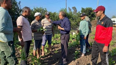 الزراعة تنفذ 1327 نشاط إرشادي لـ31 ألف مزارع في 228 مركز إرشادي