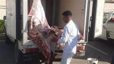 الزراعة: إطلاق 14 منفذ متحرك لبيع السلع الغذائية للمواطنين بالإسكندرية بأسعار مخفضة