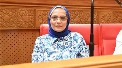 النائبة نجلاء العسيلي تقدم مقترحًا جديدًا بشأن السيارات المجهزة لـ«ذوي الهمم».. اعرف التفاصيل