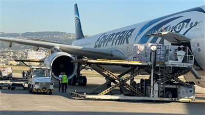 الخارجية تعلن إعادة 293 من المصريين العالقين في لبنان