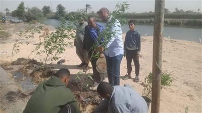 زراعة 107 شتلات بمركزي مطاي وسمالوط ضمن المبادرة الرئاسية 100 مليون شجرة