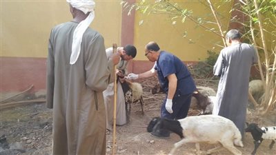 تقديم 4627 خدمة بيطرية مجانية في 8 قرى بالمنيا 