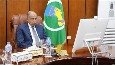 محافظ المنيا يشارك في اجتماع وزيرة التنمية المحلية لمتابعة جهود ضبط الأسواق 