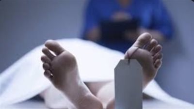 مصرع لص في حدائق أكتوبر خلال مطاردة الأهالي له