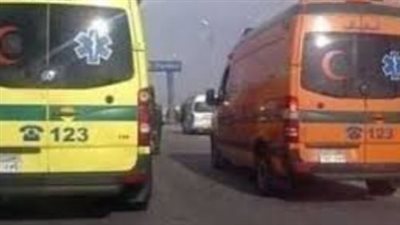 إصابة شخصين في حادث تصادم سيارتين بطريق الواحات 