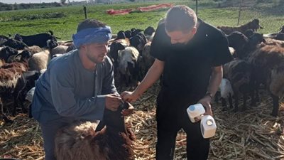 «بداية» تقدم 1834 خدمة بيطرية في قرى المنيا