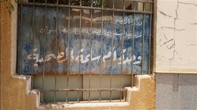 أهالى قرية «أم سلمة» يشتكون من تكرار الإصابة بلدغات العقارب.. وتدخل عاجل من محافظ أسوان